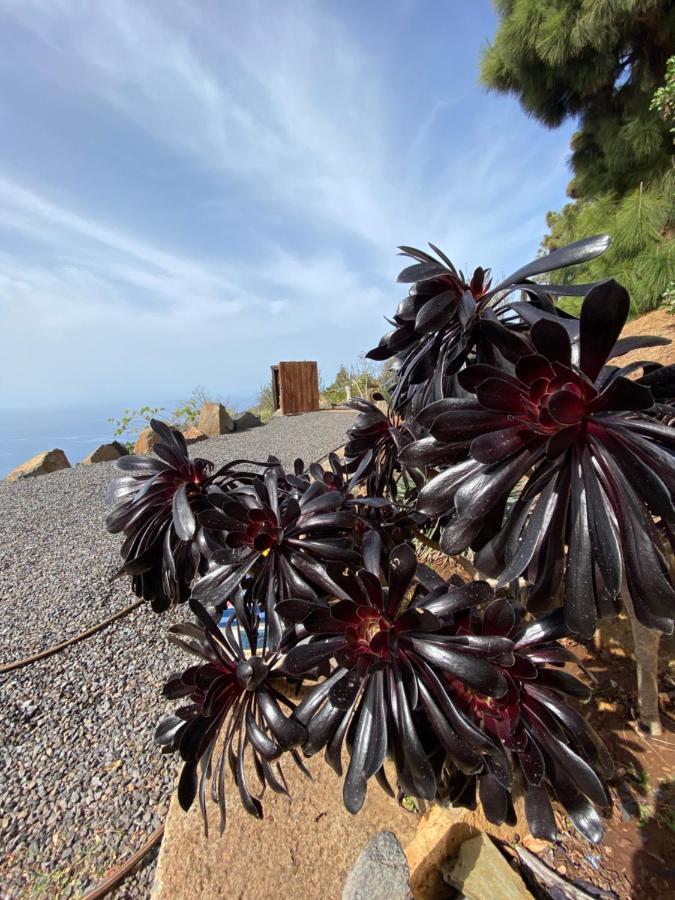 Villa Brenoso 2 Puntagorda Esterno foto